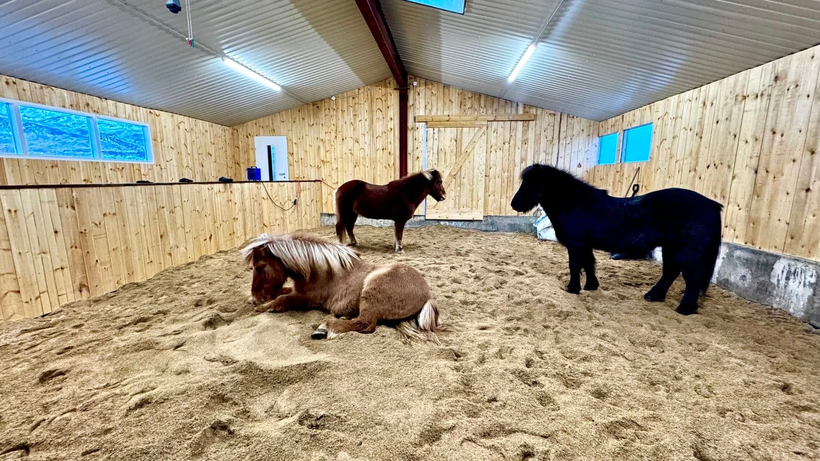 Hveragerði: Private Icelandic Horse Riding Tour in Reykjadalur Valley image 5