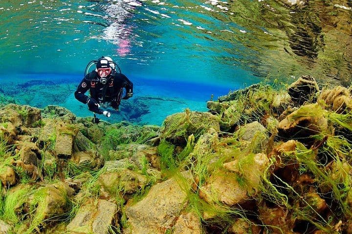 Silfra Fissure Guided Diving Tour in Þingvellir image 4