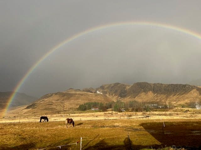 Hveragerði: Private Icelandic Horse Riding Tour in Reykjadalur Valley image 3