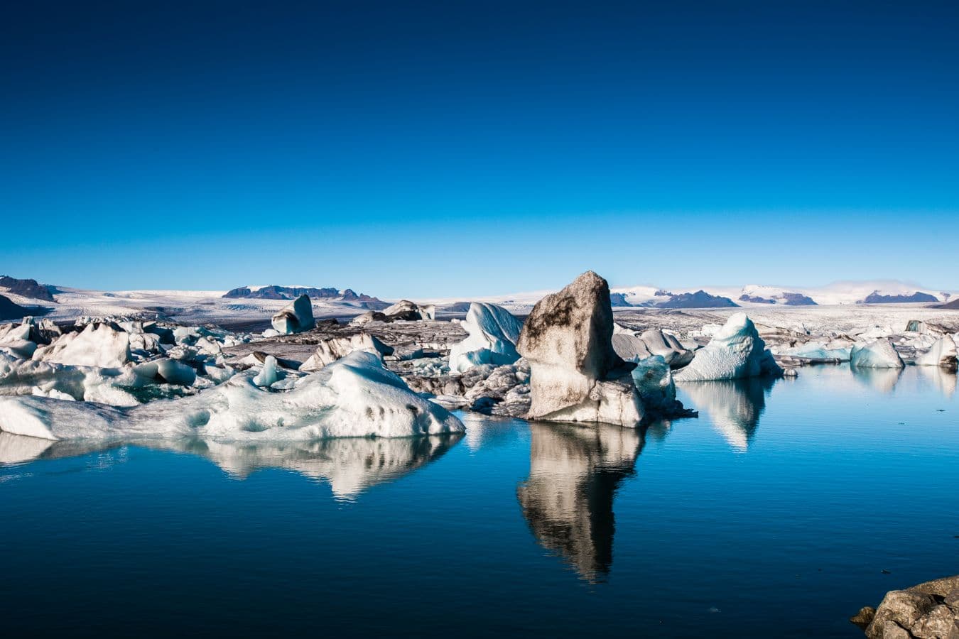 Reykjavík: Jökulsárlón Glacier Lagoon & South Coast Full-Day Tour image 2