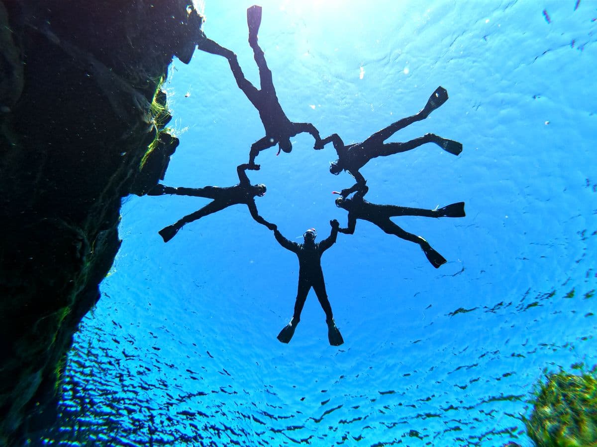 Selfoss: Silfra Snorkeling in Wetsuit – Reykjavík Pickup Included image 3