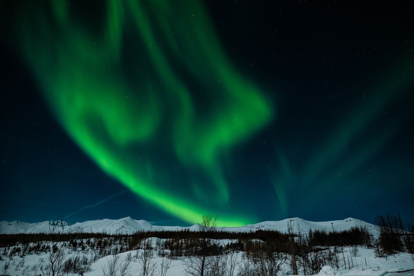 Akureyri: Northern Lights Hunting Bus Tour image 1