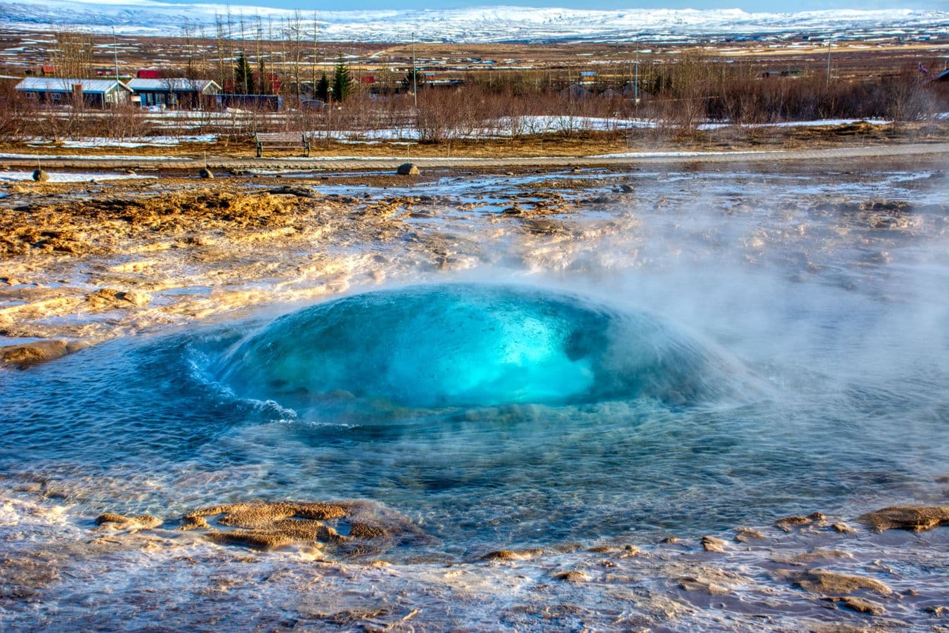 Reykjavík: Golden Circle, Silfra Snorkeling & Fridheimar Farm – with Photos image 1