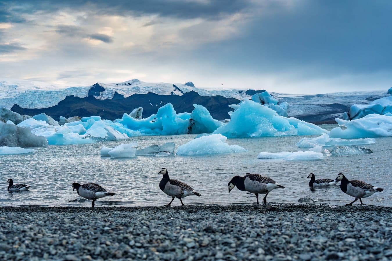 Reykjavík: South Coast & Jökulsárlón Tour (Chinese-Guided) image 1