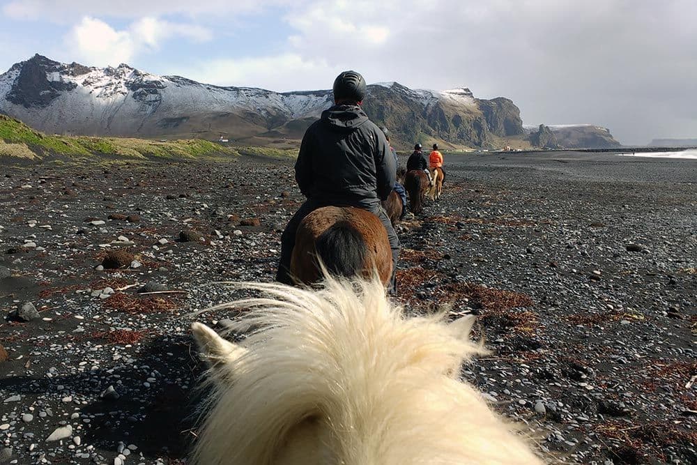 Glacier Hike on Sólheimajökull & Horseback Riding in Vík image 3