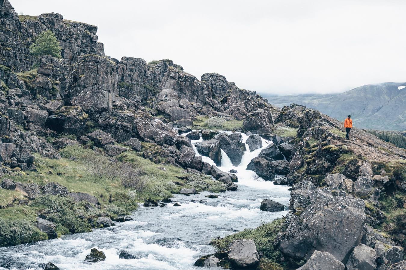 Reykjavík: Golden Circle, Þingvellir & Blue Lagoon Day Tour image 3