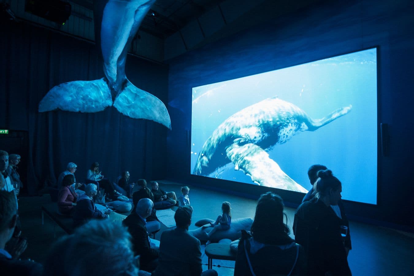 Reykjavík: Whales of Iceland Museum Admission image 1