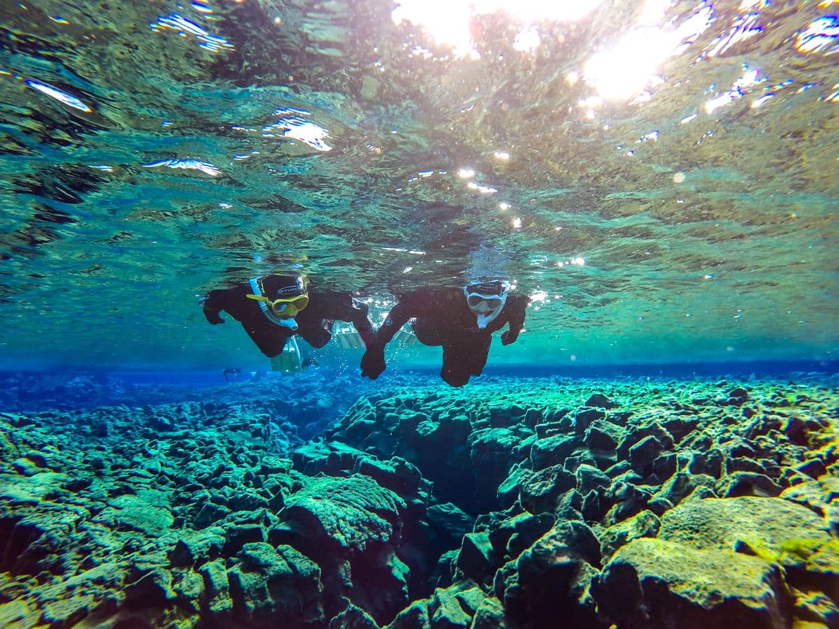 Reykjavík: Silfra Snorkeling & Golden Circle Small-Group Day Tour image 2