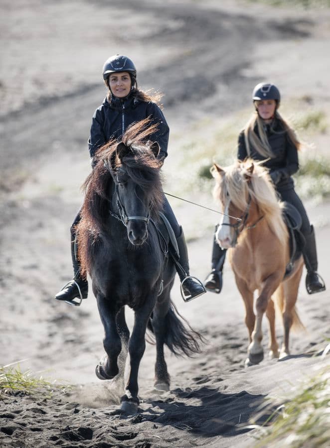 Hveragerði: Private Horse Riding Icelandic Equestrian Experience image 1