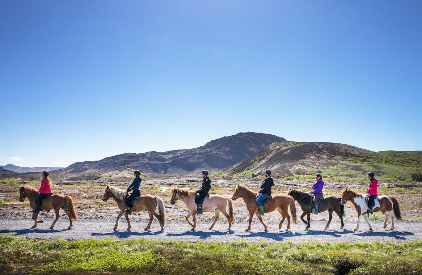 Hafnarfjörður: Private Icelandic Horse Riding Tour image 3