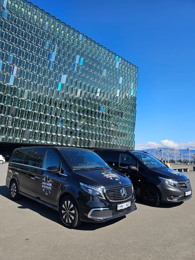Private 3-Hour Keflavik Airport Transfer & Reykjavik Tour image 3