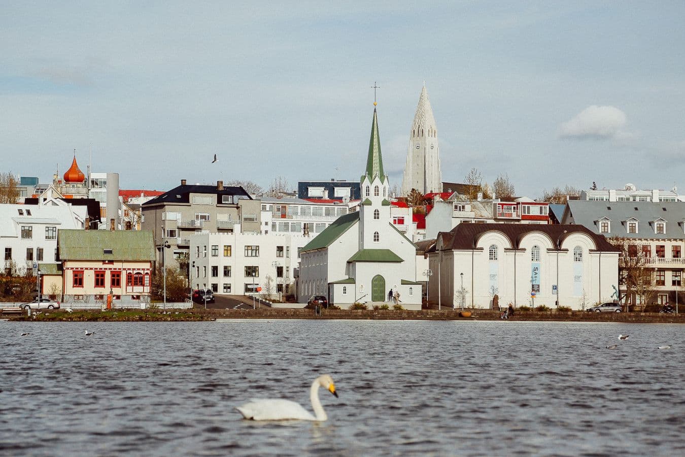 Private Reykjavík City Sightseeing Tour – 3 Hours image 4