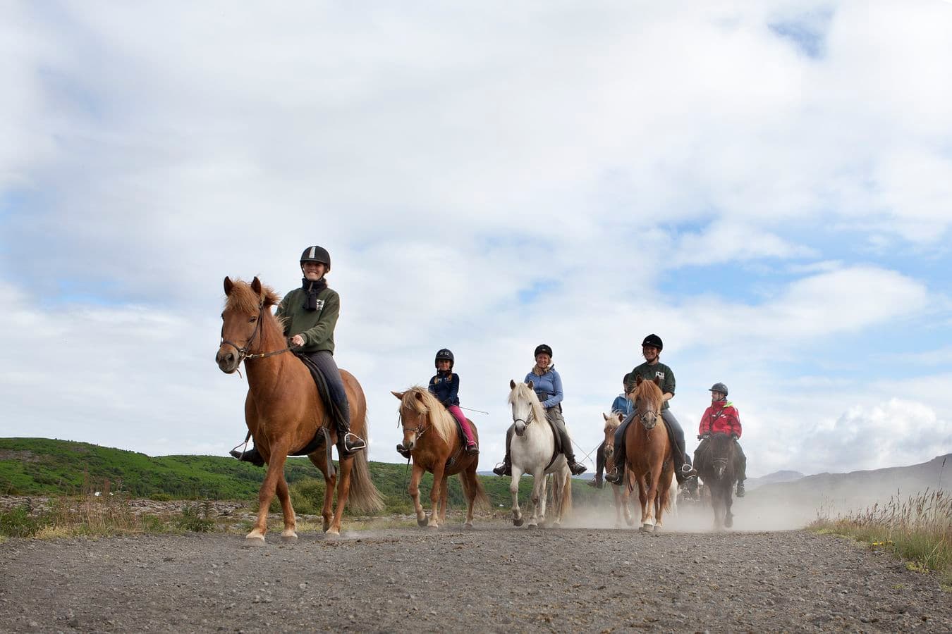 Hafnarfjörður: Icelandic Horse Riding Lava Tour from Reykjavík image 5