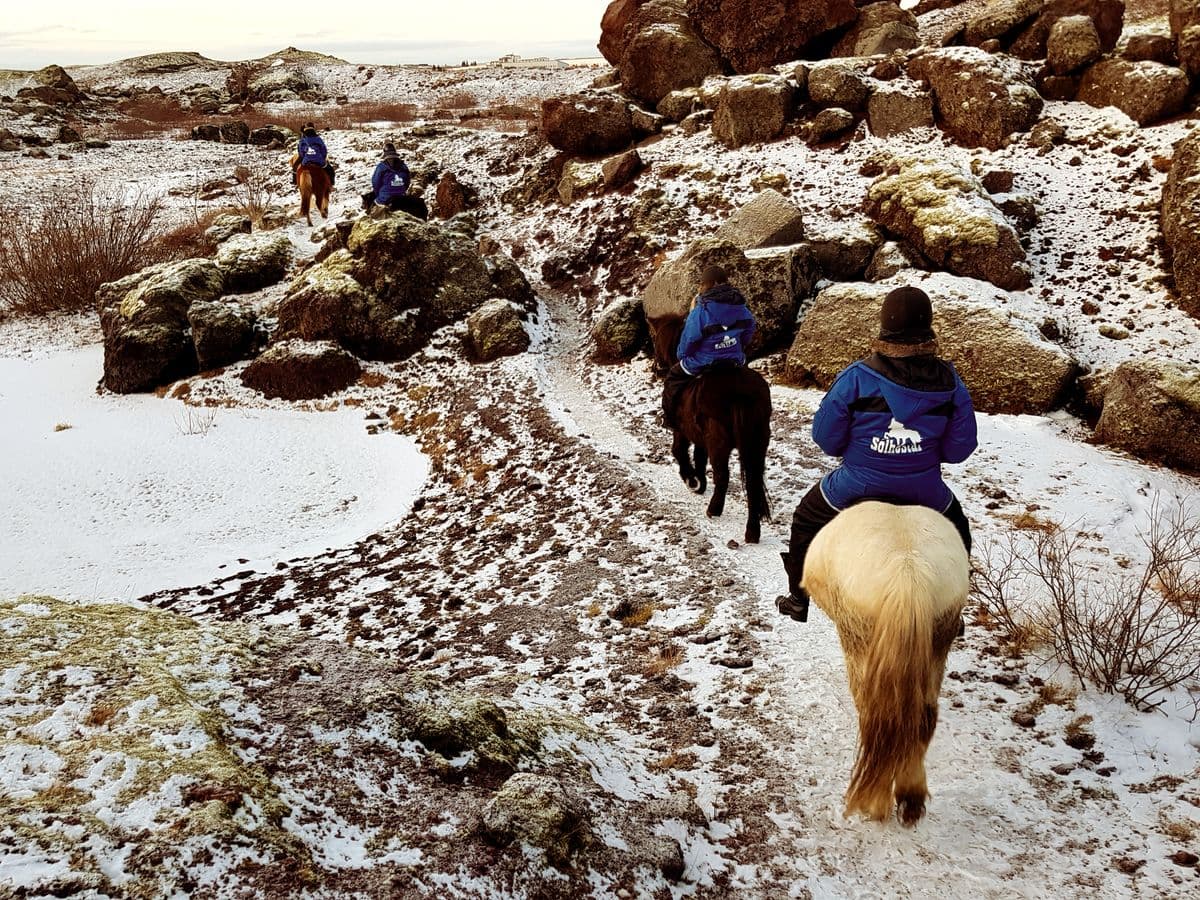 Reykjavík: Red Lava Horse Riding Tour – All Skill Levels image 4