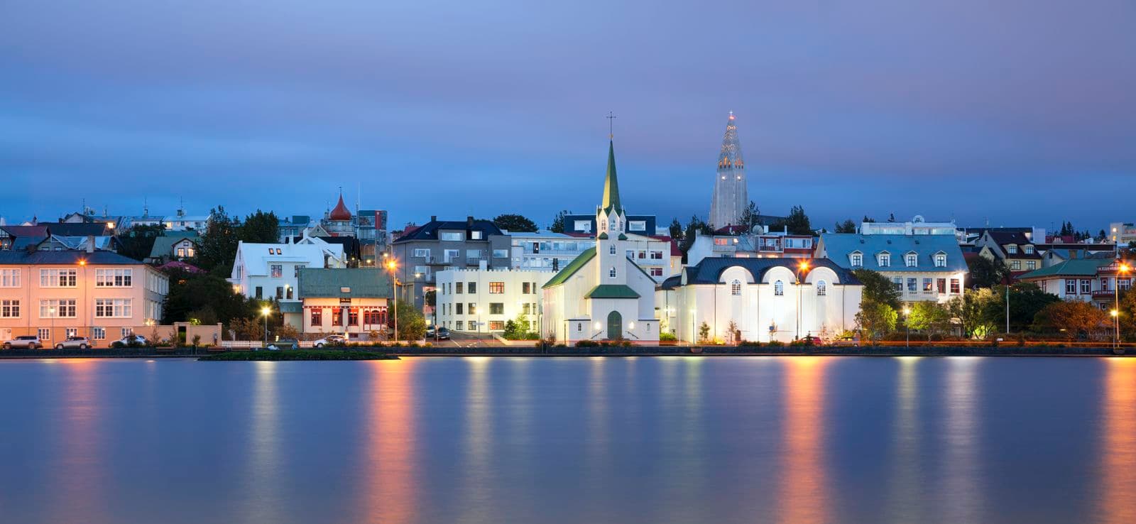 Reykjavík: Private City Sightseeing Tour – 2-Hour Express image 4