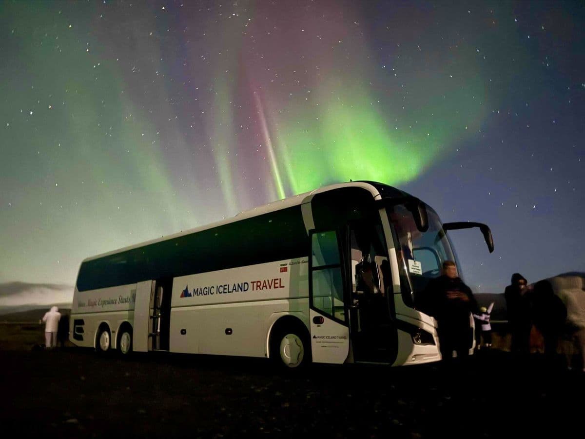 Reykjavík: Northern Lights Bus Tour with Hot Chocolate & Icelandic Surprise image 1