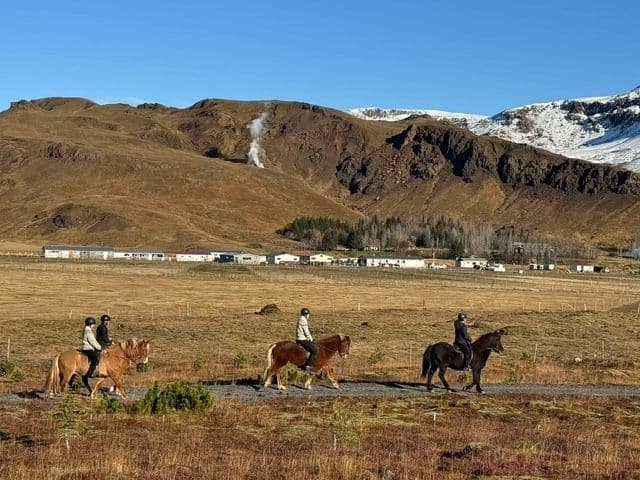 Hveragerði: Private Icelandic Horse Riding Tour in Reykjadalur Valley image 4