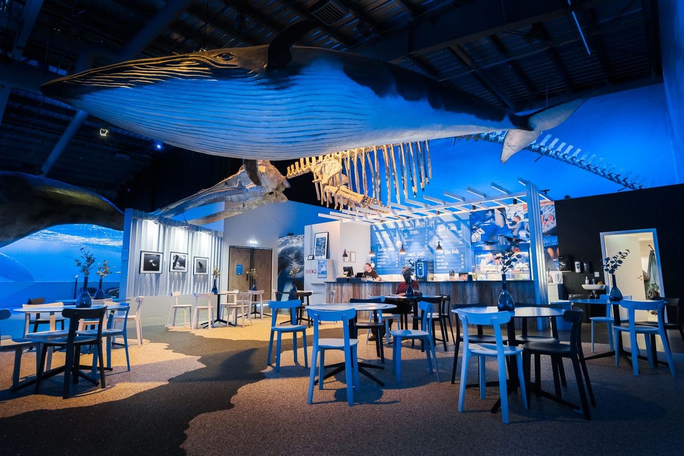Reykjavík: Whales of Iceland Museum Admission image 2