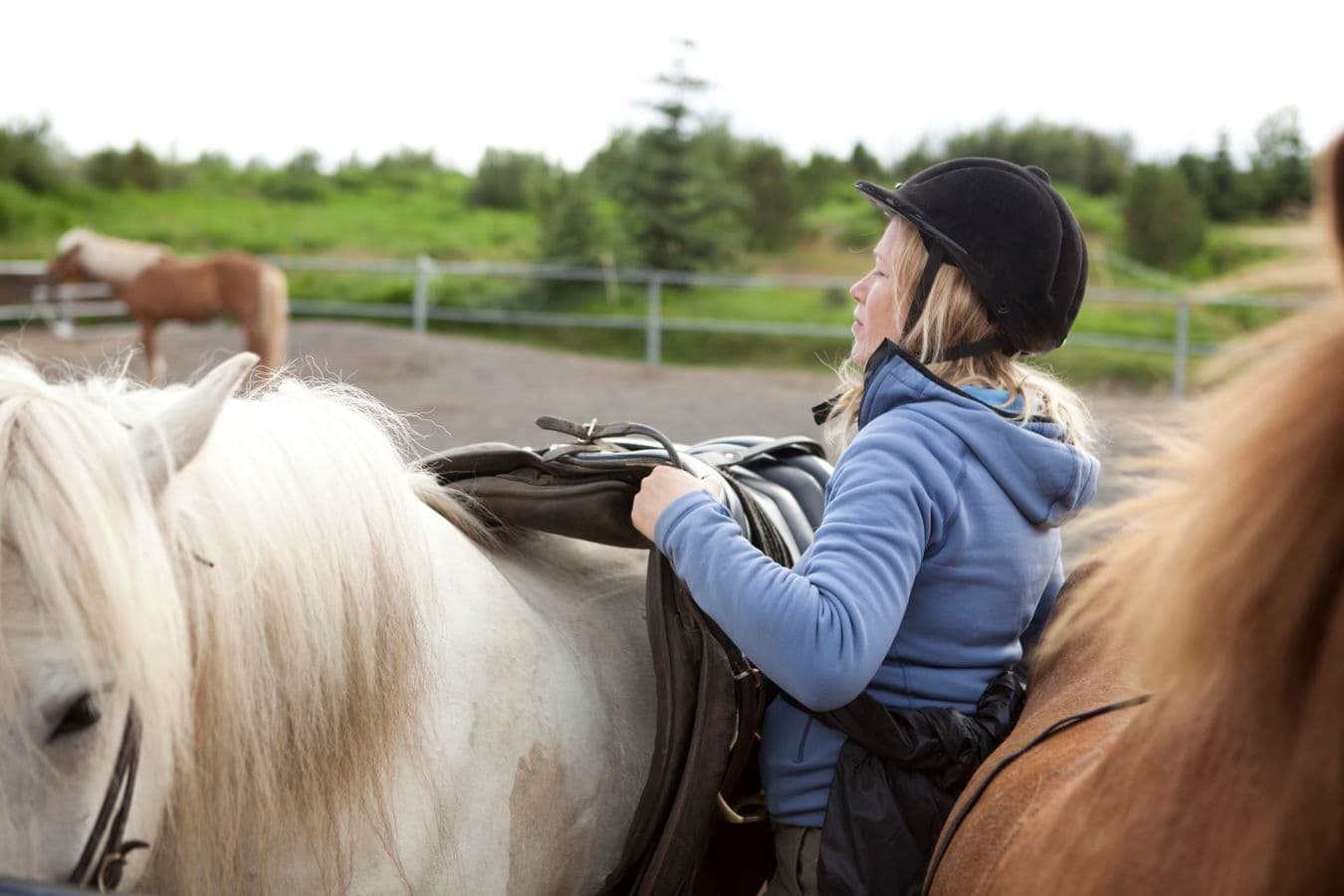 Hafnarfjörður: Icelandic Horse Riding Lava Tour from Reykjavík image 1