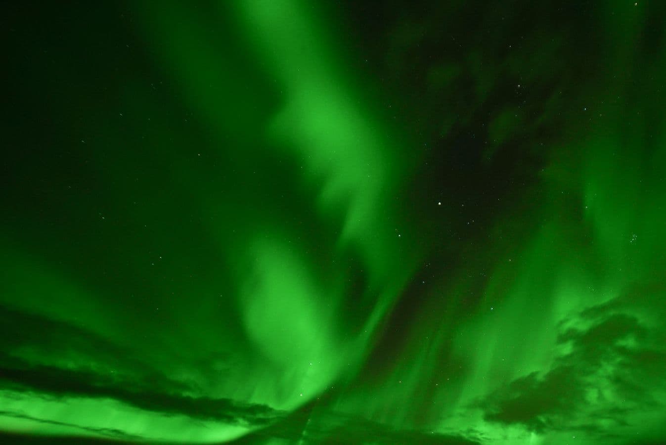 Reykjavík: Small-Group Northern Lights Minibus Tour image 1