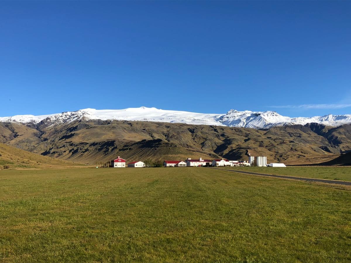 Iceland South Coast Small-Group Tour: Waterfalls, Glacier & Black Sand Beach image 3