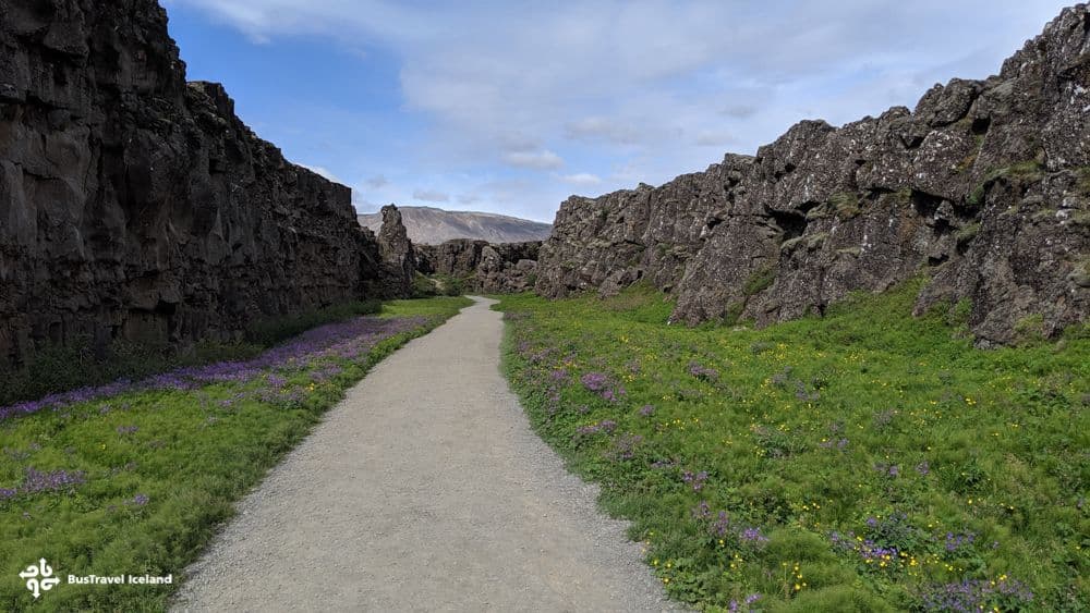 Golden Circle & Secret Lagoon Full-Day Tour from Reykjavík image 3