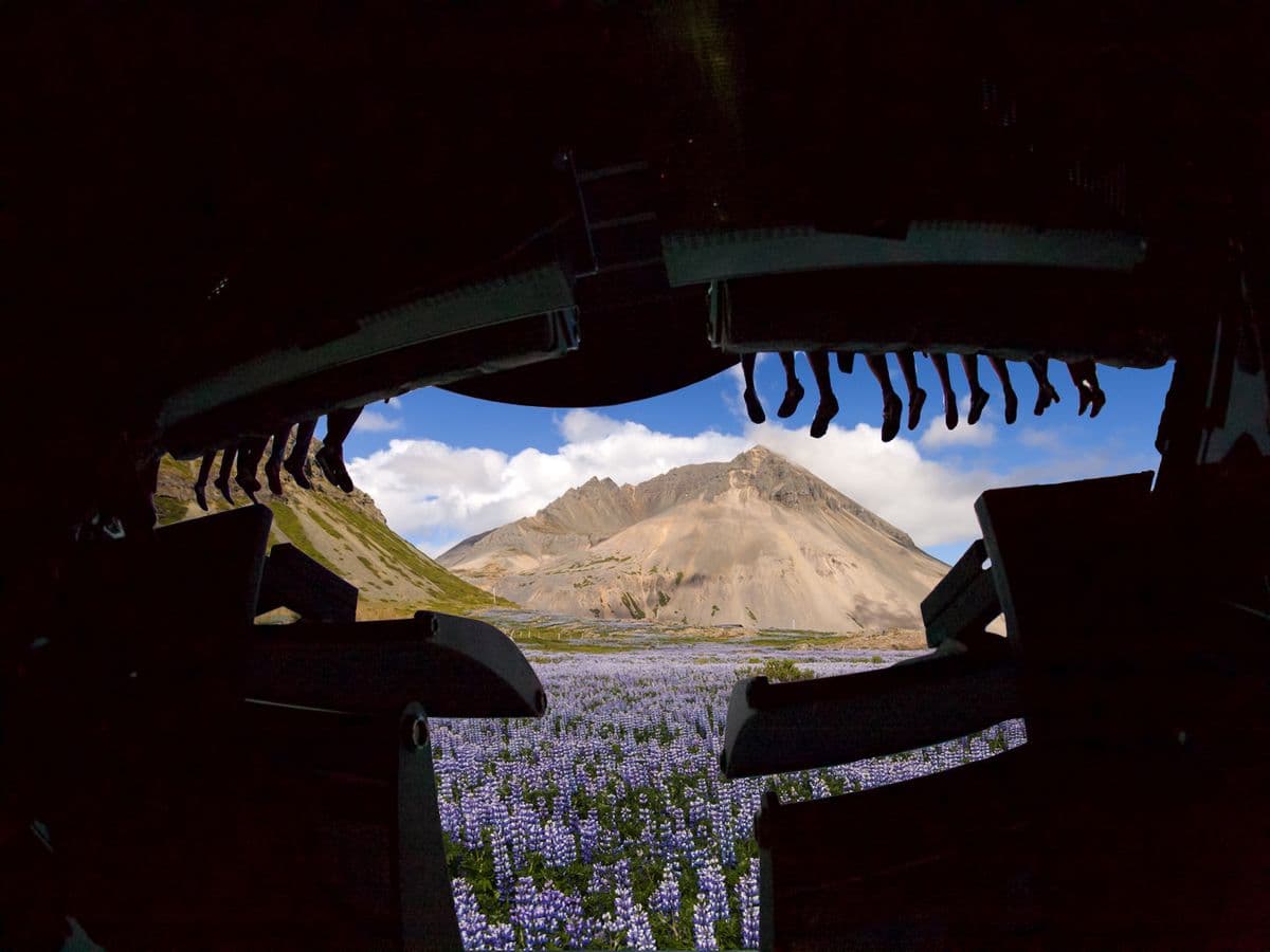FlyOver Iceland: Immersive Virtual Flight Experience in Reykjavík image 5