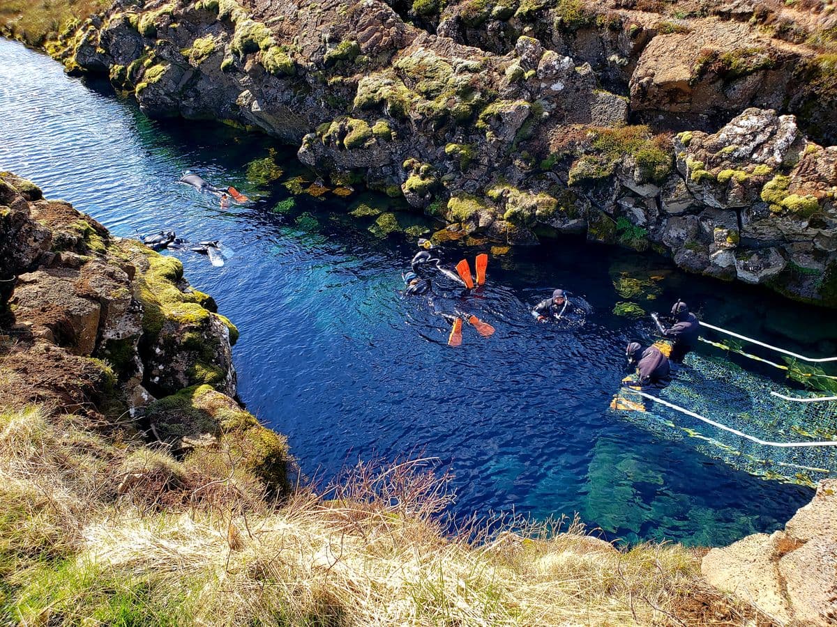 Reykjavík: Silfra Snorkeling & Golden Circle Small-Group Day Tour image 3