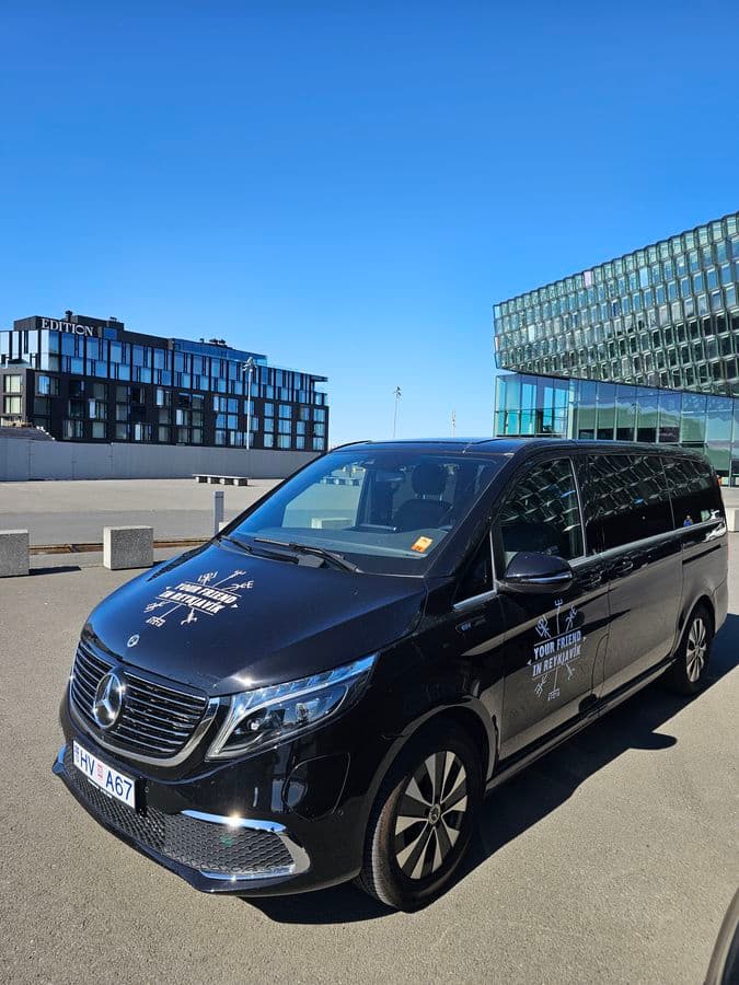 Private 3-Hour Keflavik Airport Transfer & Reykjavik Tour image 4