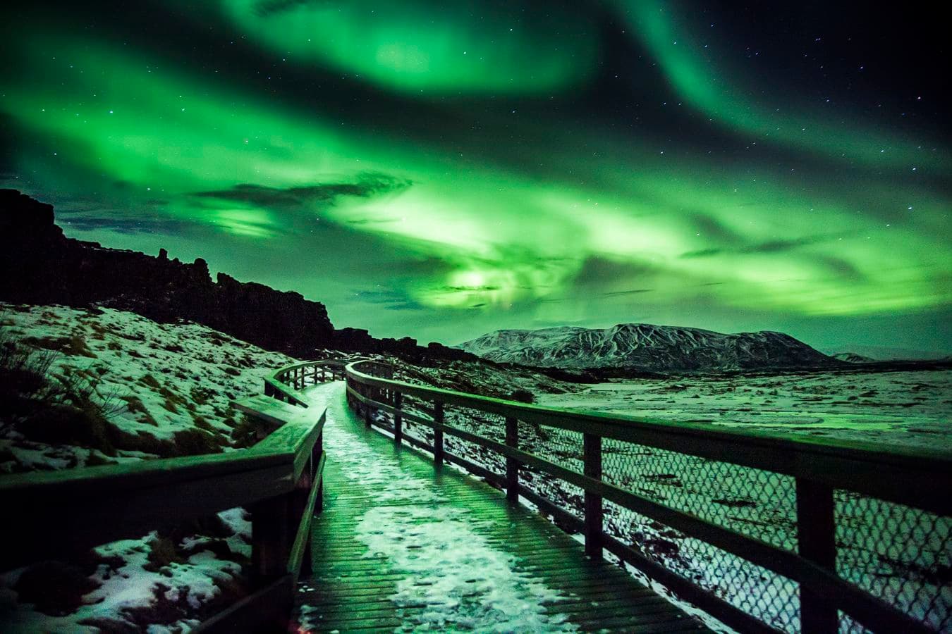 Northern Lights Bus Tour from Reykjavík – 4-Hour Hunt image 2