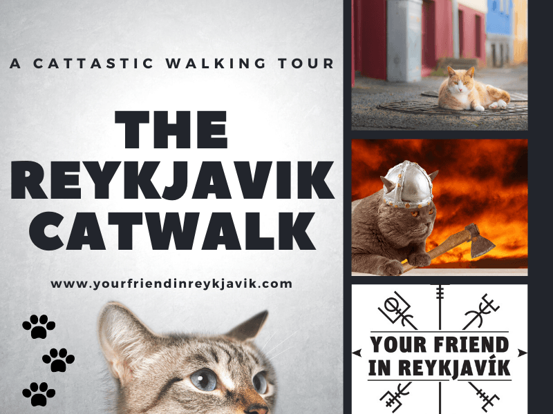 Private Reykjavík Folklore & Cat Walking Tour Combo image 5