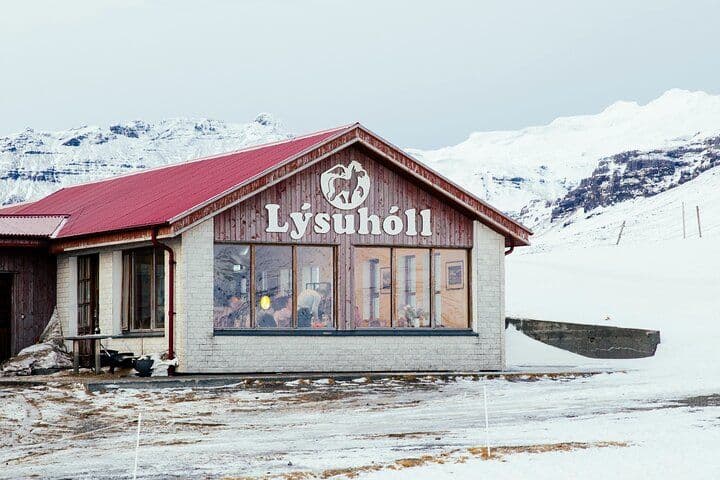 Reykjavík: Snæfellsnes Peninsula Small-Group Minibus Tour with Dinner image 3
