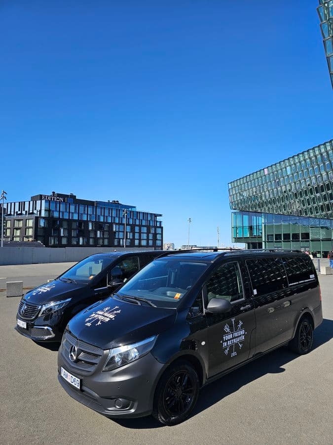 Private 5-Hour Reykjavík & Reykjanes Transfer Tour image 2
