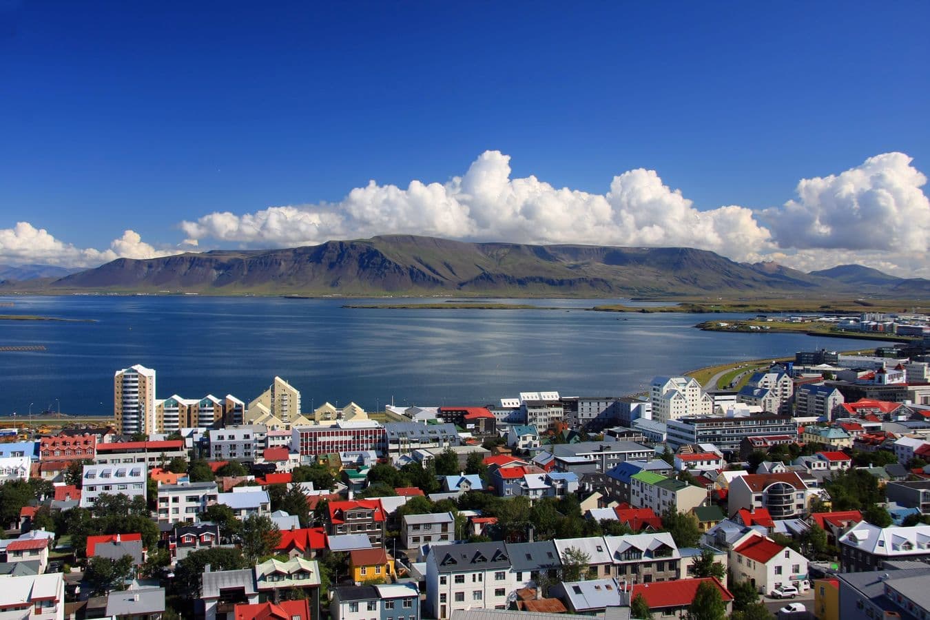 Reykjavík: Private City Sightseeing Tour – 2-Hour Express image 3
