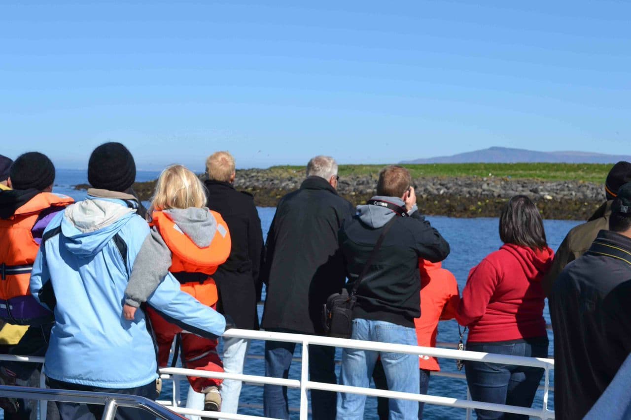 Reykjavík: Puffin Watching Boat Tour – 1 Hour image 2