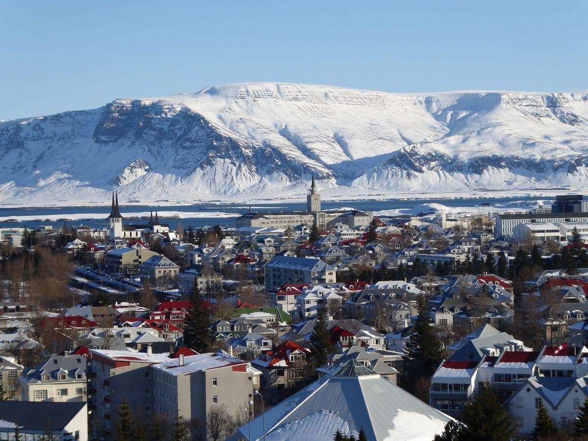 Private Reykjavík City Tour with Blue Lagoon Premium Entrance image 5