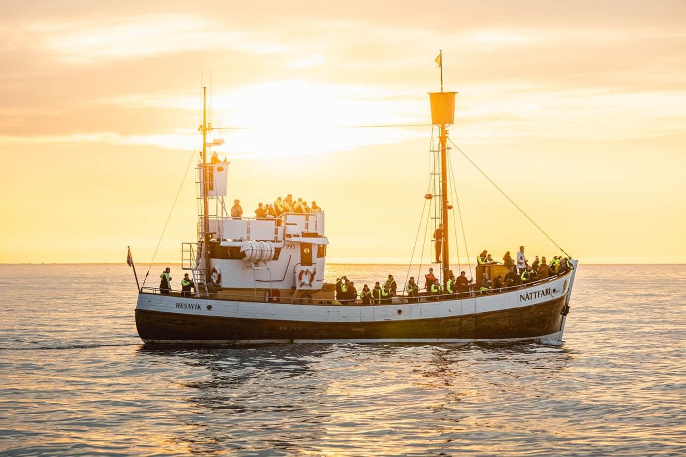 Húsavík: Midnight Sun Whale Watching Evening Sailing image 2