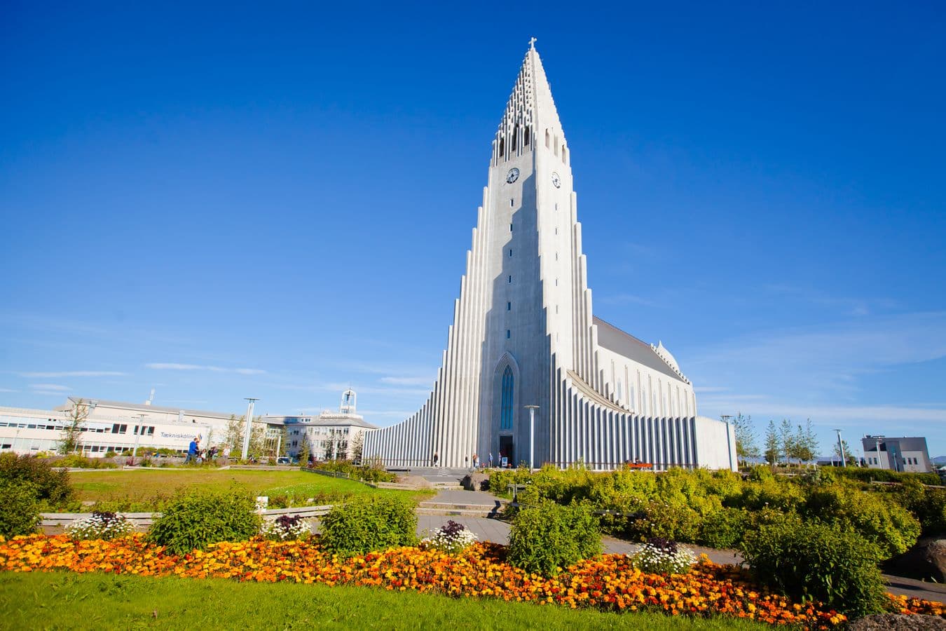 Reykjavík: Private City Sightseeing Tour – 2-Hour Express image 2