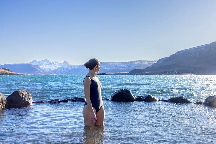 Mosfellsbær: Hvammsvík Hot Springs Admission in Whalefjord, West Iceland image 5