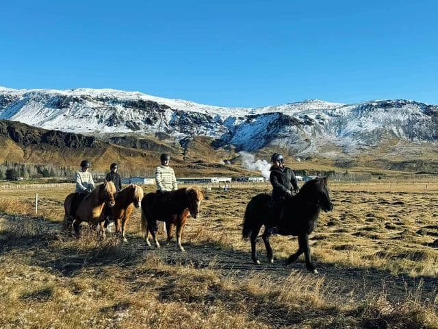 Hveragerði: Private Icelandic Horse Riding Tour in Reykjadalur Valley image 1