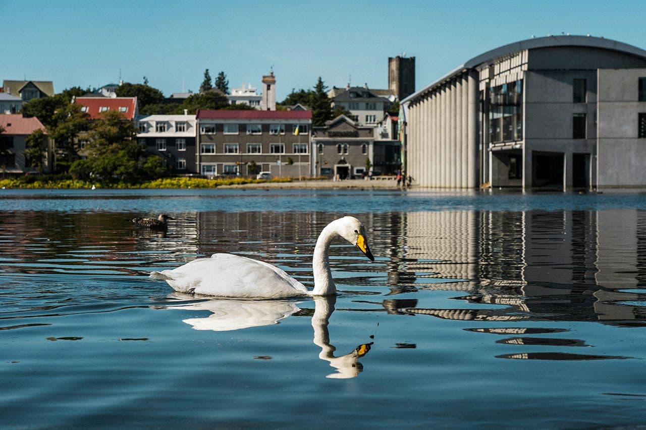Private Reykjavík City Sightseeing Tour – 4 Hours image 2