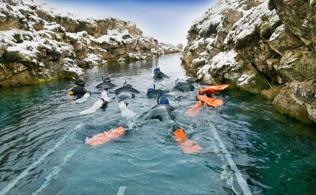 Silfra Fissure Snorkeling with Reykjavík Pickup & Free Photos image 2