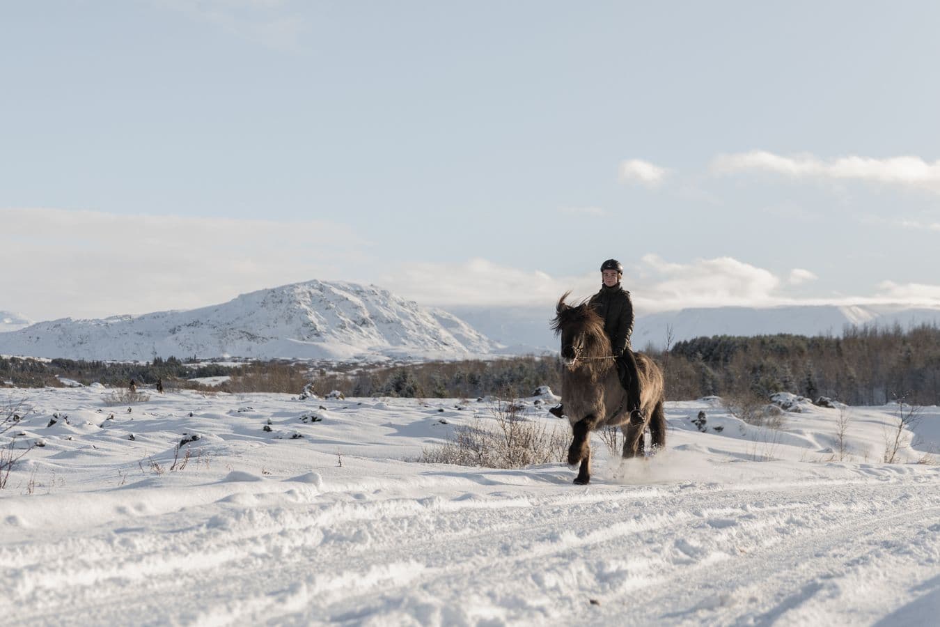 Hafnarfjörður: Private Icelandic Horse Riding Tour image 1