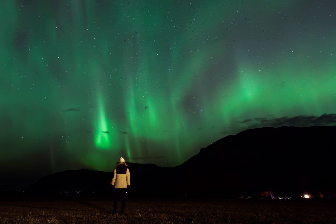 Reykjavík: Northern Lights Minibus Tour with Pastries & Hot Chocolate image 2