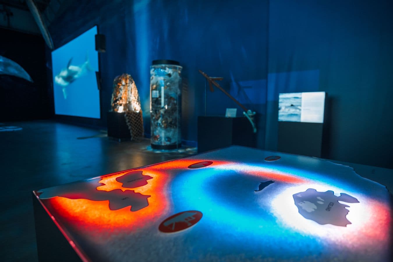 Reykjavík: Whales of Iceland Museum Admission image 4