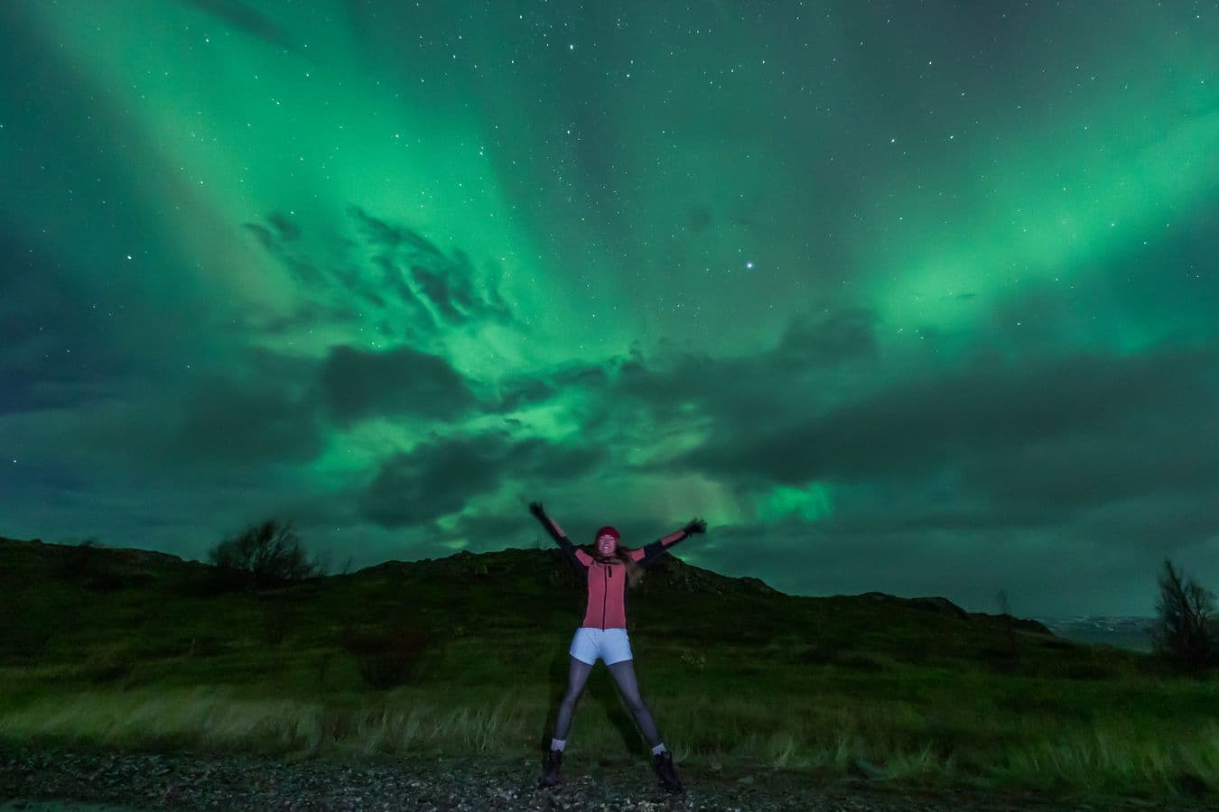 Reykjavík: Northern Lights Minibus Tour with Pastries & Hot Chocolate image 5