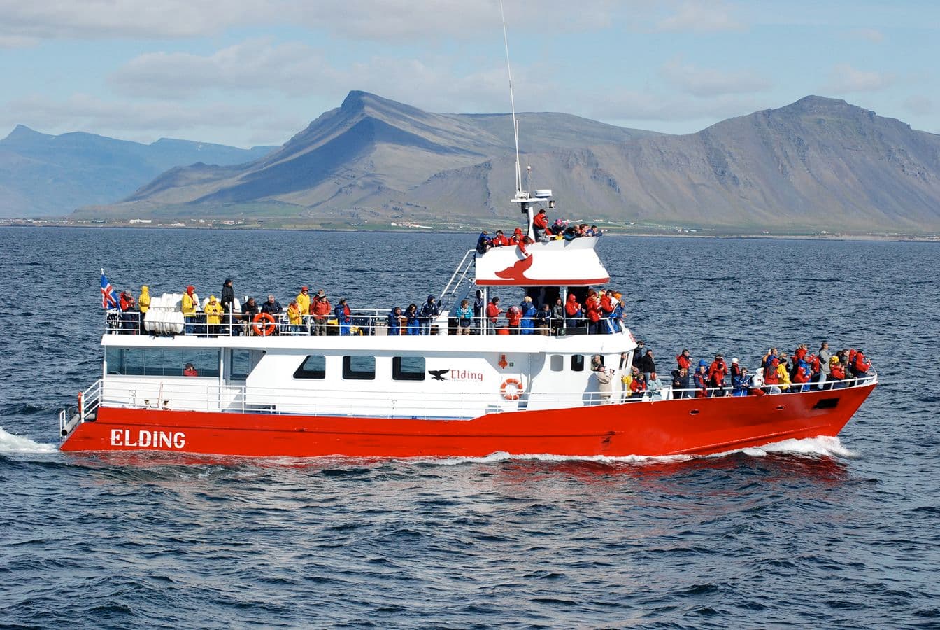 Reykjavík: ATV & Whale Watching Combo Tour – Full Day image 5
