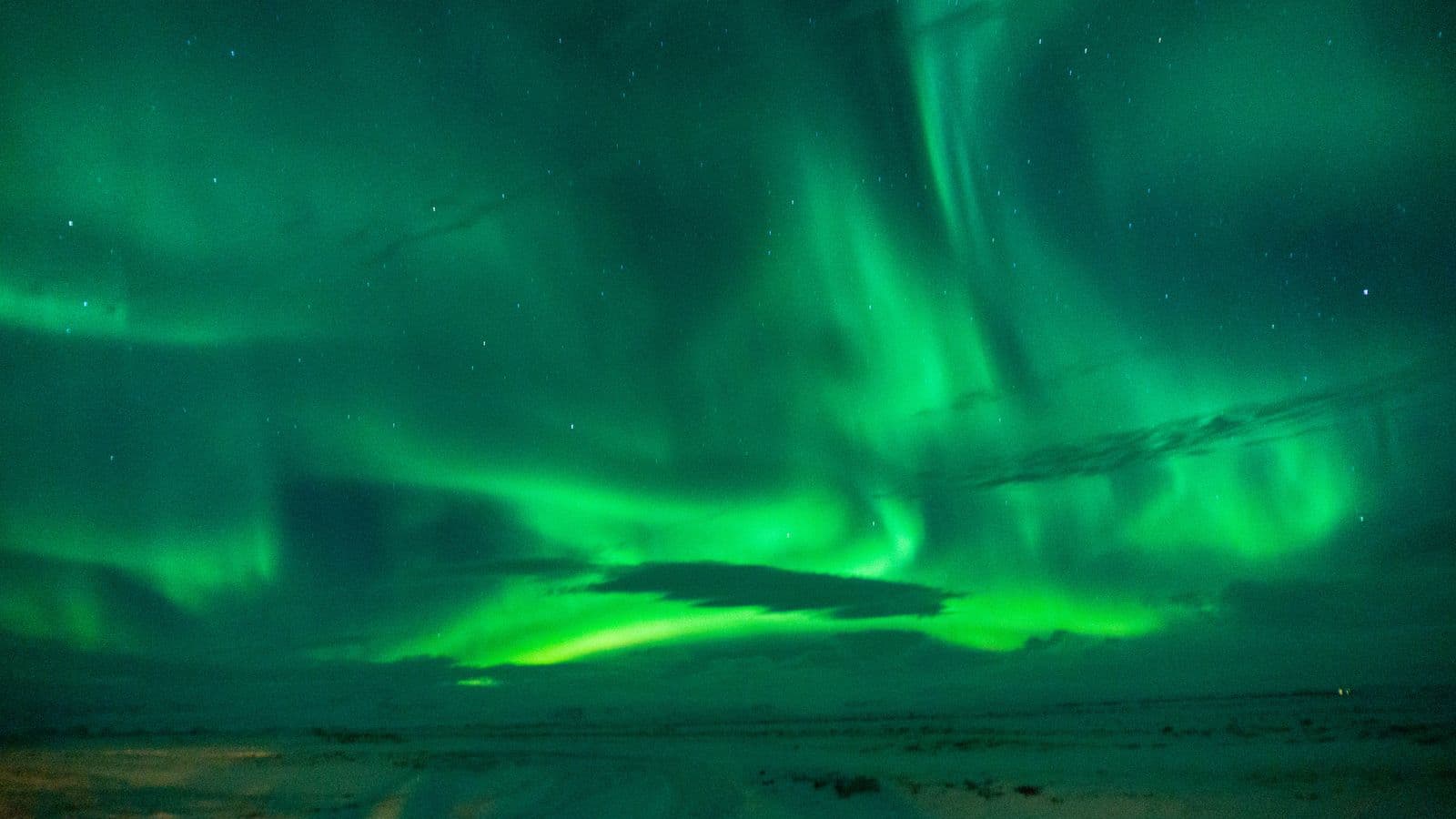Reykjavík: Northern Lights Small-Group Tour with Aurora Museum Entry image 4