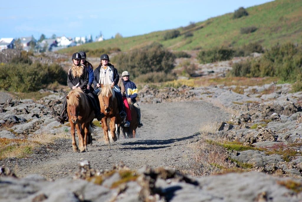 Hafnarfjörður: Icelandic Horse Riding Lava Tour from Reykjavík image 3