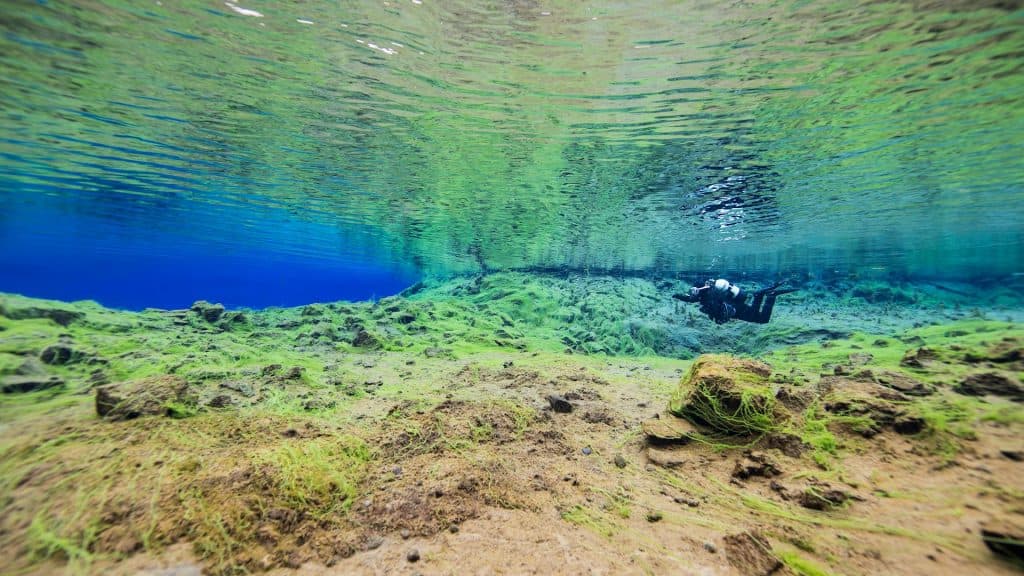Snorkeling & Diving